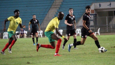 Amicale Tunisie-Cameroun : Pronostics des fans des Lions à Garoua avant la rencontre