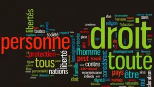Défense des droits de l&#039;homme au Cameroun : Une nouvelle instance en gestation